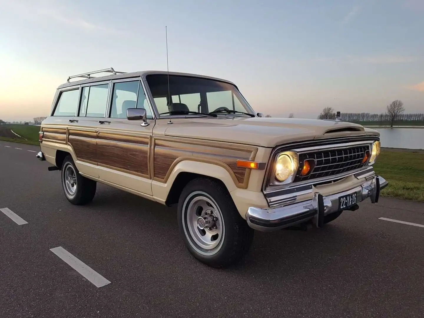 Jeep Wagoneer Wagoneer 5.9 V8 Limited Wagon Beige - 2
