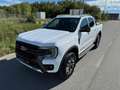 Ford Ranger Ranger Wildtrak e-4WD 2.3 EcoBoost El.Rollo, 5 ... Weiß - thumbnail 5