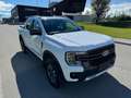 Ford Ranger Ranger Wildtrak e-4WD 2.3 EcoBoost El.Rollo, 5 ... Weiß - thumbnail 11