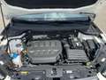 CUPRA Ateca VZ 2.0 TSI 4Drive DSG/LED, ACC, 360°Kamera Weiß - thumbnail 8