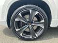 CUPRA Ateca VZ 2.0 TSI 4Drive DSG/LED, ACC, 360°Kamera Weiß - thumbnail 7
