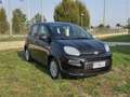 Fiat Panda Panda 1.0 FireFly Hybrid Touchscreen BT e NAVI Negro - thumbnail 3