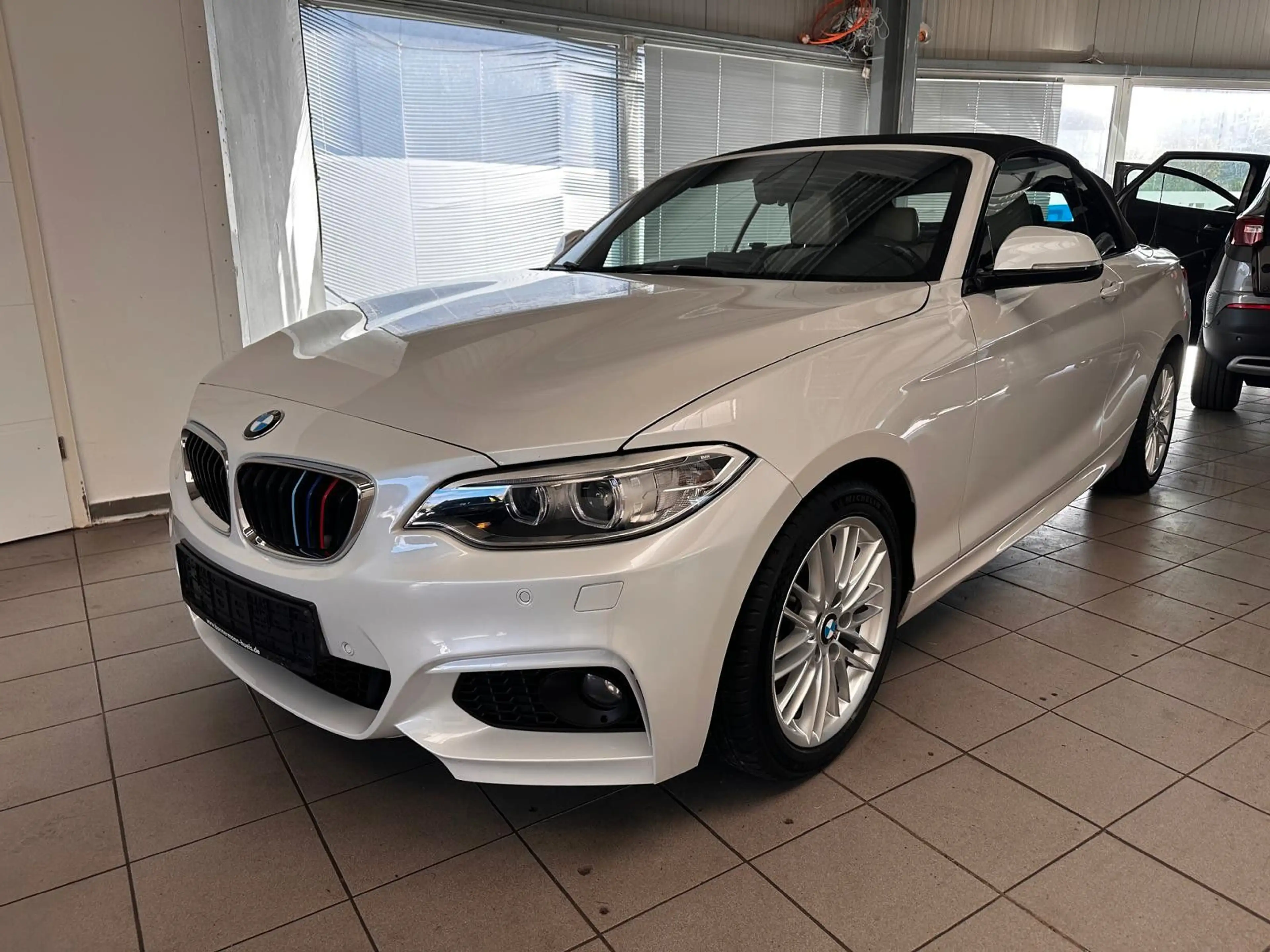 BMW 220 d Cabrio M Sport *H&K*AHK*Leder*PDC*8 Räder