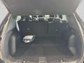 Ford Kuga 2.5i PHEV ST-Line - Pano Dak - Winter Pack Noir - thumbnail 7