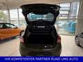Dacia Sandero II Stepway Prestige/ US-ARMY FOLIERUNG/ Grün - thumbnail 11