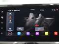 SEAT Tarraco 2.0 TDI 4D FR Line Pano ACC Rcam Navi Beats Gris - thumbnail 25