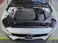 Volvo V60 Cross Country 2.0b4 AWD MILDHIBRID GARANZIA24MESI TAGLIANDIVOLVO Blanc - thumbnail 17