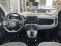 Fiat Panda Cross Hybrid Bleu - thumbnail 12
