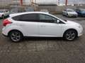 Ford Focus Focus Easy 1,6Ti-VCT Easy Weiß - thumbnail 6
