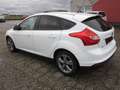 Ford Focus Focus Easy 1,6Ti-VCT Easy Weiß - thumbnail 3