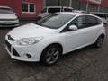 Ford Focus Focus Easy 1,6Ti-VCT Easy Weiß - thumbnail 1