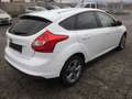 Ford Focus Focus Easy 1,6Ti-VCT Easy Weiß - thumbnail 5