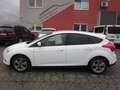 Ford Focus Focus Easy 1,6Ti-VCT Easy Weiß - thumbnail 2