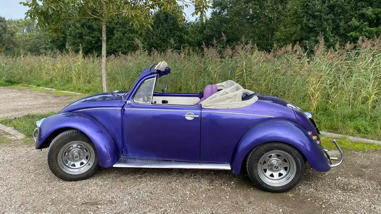 Volkswagen Kever Speedster, foto 4