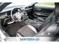 Ford Mustang GT 5.0 FASTBACK LEDER*KEYLESS*MULTI-LENKRAD*PDC*TE Argent - thumbnail 14