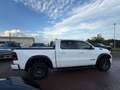 RAM 1500 4x4 5.7  SPORT  NIGHT EDITION - GPL - NAVI 12 " Bianco - thumbnail 3