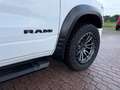 RAM 1500 4x4 5.7  SPORT  NIGHT EDITION - GPL - NAVI 12 " Bianco - thumbnail 4