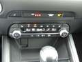 Mazda CX-5 SKYACTIV-G 194 FWD ADVANTAGE + Ganzjahresreifen Rouge - thumbnail 15