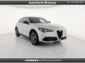Alfa Romeo Stelvio Stelvio 2.2 Turbodiesel 210 CV AT8 Q4 Sprint Grigio - thumbnail 6