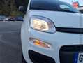 Fiat Panda 1.0 70ch BSG S\u0026S City Cross Elysia Euro6D Blanc - thumbnail 13