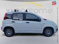 Fiat Panda 1.0 70ch BSG S\u0026S City Cross Elysia Euro6D Blanc - thumbnail 4