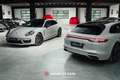 Porsche Panamera ST 4 E-HYBRID PLATINUM EDITION VAT Grijs - thumbnail 1