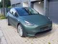 Tesla Model Y Model Y AWD 79kWh Performance Performance Grün - thumbnail 2