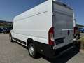 Opel Movano Movano L4H2 BlueHDi 140 S&S 3,5t+ Weiß - thumbnail 5