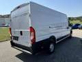 Opel Movano Movano L4H2 BlueHDi 140 S&S 3,5t+ Weiß - thumbnail 4
