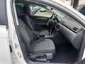 Volkswagen Passat Variant Comfortline BlueMotion TÜV NEU Blanco - thumbnail 12