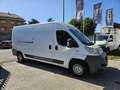 Fiat Ducato 2.3 MJT Furgone Maxi Bianco - thumbnail 2