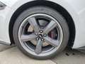 Ford Mustang Convertible 5.0 V8 CALIFORNIA White - thumbnail 12