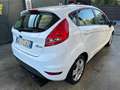 Ford Fiesta 5p 1.2 16v Titanium 82cv - thumbnail 3