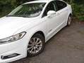 Ford Mondeo Mondeo 2.0 Hybrid Start-Stopp CVT Bílá - thumbnail 3