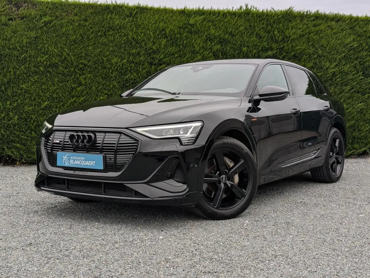 Audi Q8 e-tron Q8 e-tron - 2x s-line + black style - sportstuur Negro - 1