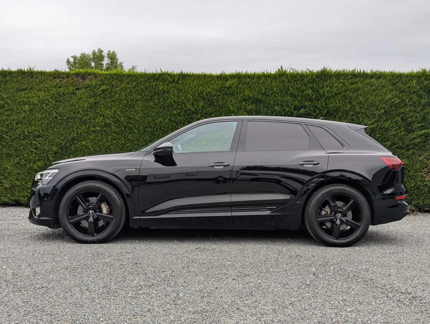 Audi Q8 e-tron Q8 e-tron - 2x s-line + black style - sportstuur Negro - 2