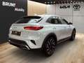 Kia XCeed 1.5T DCT Spirit Navi Kamera Sitzheizung Weiß - thumbnail 4