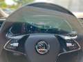 Skoda Superb Combi 1.4 TSI iV Sportline *AHK*CANTON*MATRIX*KAME Blauw - thumbnail 12
