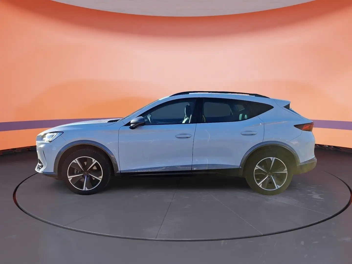 CUPRA Formentor Anhängervorrichtung, Winter-Paket, Nav Weiß - 2