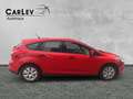 Ford Focus Start/Stopp Inspektion neu Rouge - thumbnail 8