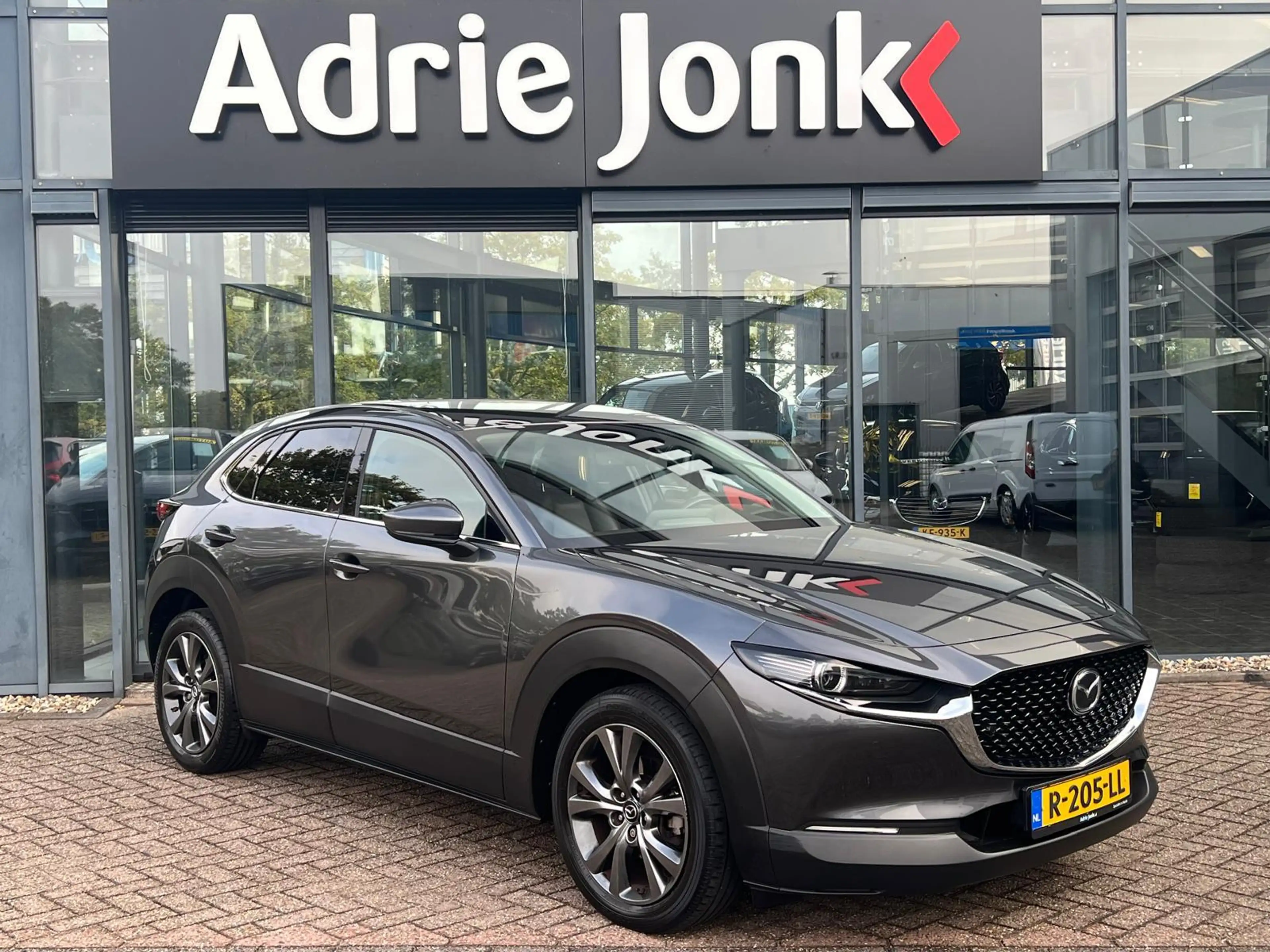 Mazda CX-30 2.0 e-SkyActiv-X M Hybrid Luxury AUTOMAAT | LEDER