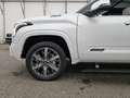 Toyota Tundra Capestone T1: 78.000 EURO ! Stock !!!!!!! Weiß - thumbnail 12