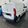 Fiat Doblo Doblò 1.6 MJT 105CV PC-TN Cargo Lamierato SX E5 Bianco - thumbnail 7