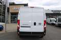 Fiat Ducato Maxi L3H2 140 MT Klima Park Tempomat Net... Weiß - thumbnail 9