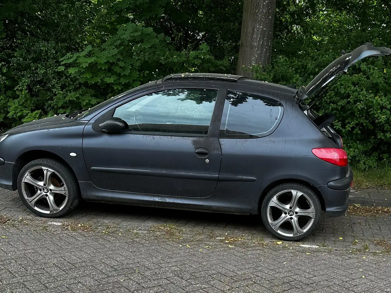 Peugeot 206 1.4 XS, foto 6