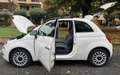 Fiat 500 500 1.2 Lounge 69cv restyling PERFETTA !!! Blanc - thumbnail 22