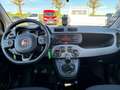 Fiat Panda City Life 1.0 Mild Hybrid DAB Berganfahrass. Klima Rot - thumbnail 11