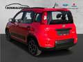 Fiat Panda City Life 1.0 Mild Hybrid DAB Berganfahrass. Klima Rot - thumbnail 3