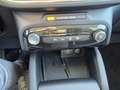 Ford Kuga 2.5 Duratec 180ch Hybrid FlexiFuel Titanium Business Powershift Grün - thumbnail 16
