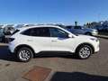 Ford Kuga 2.5 Duratec 180ch Hybrid FlexiFuel Titanium Business Powershift Grün - thumbnail 4